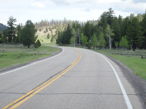 Just enjoying the bicycle tour.