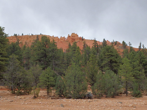 We were about to ride through some wonderful geology!