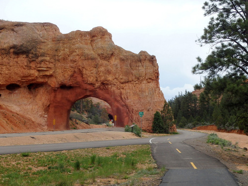 Bike Path through Dixie National Forest.