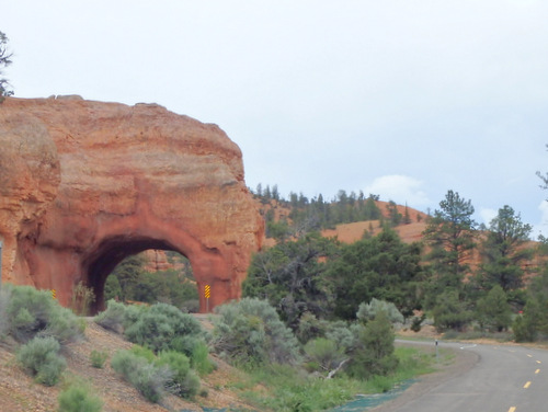 Bike Path through Dixie National Forest.