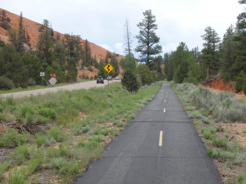 Bike Path through Dixie National Forest.