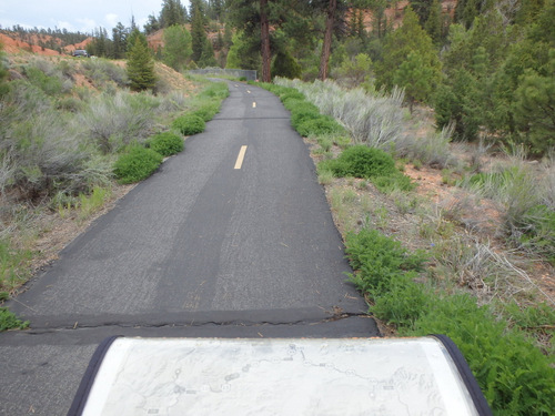 Bike Path through Dixie National Forest.