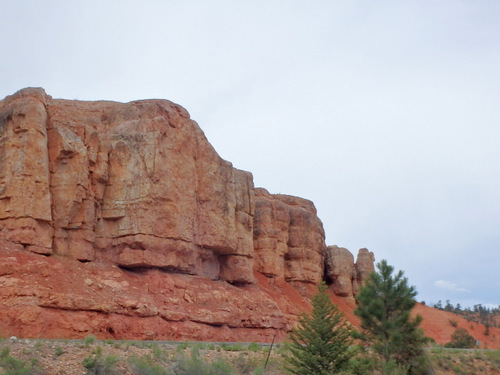 Bike Path through Dixie National Forest.