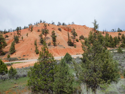 Bike Path through Dixie National Forest.