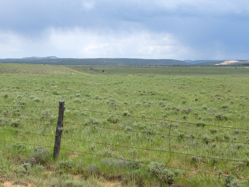 We had reached a high plains grass land.