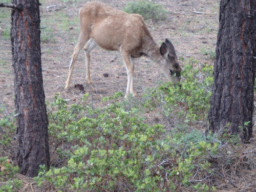 We saw these gals while walking to breakfast.