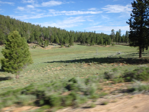 Southbound on the road to Rainbow Point.