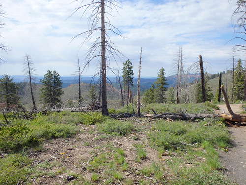 Whiteman Connecting Trail access.