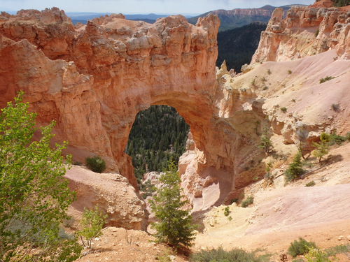 Natural Bridge (Today).