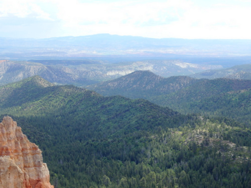 A view from Black Birch Canyon overlook.