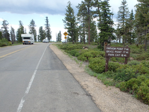 We were returning to Bryce Point.