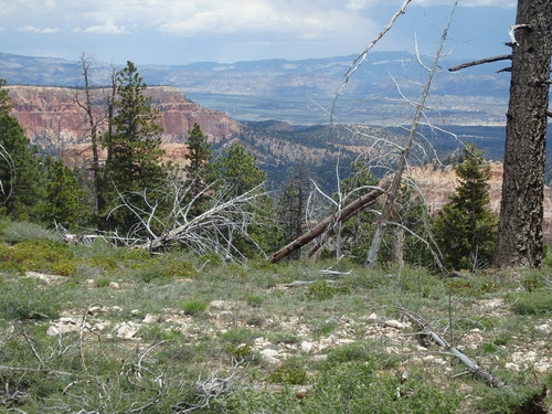 Return ride, passing through another burn scar.