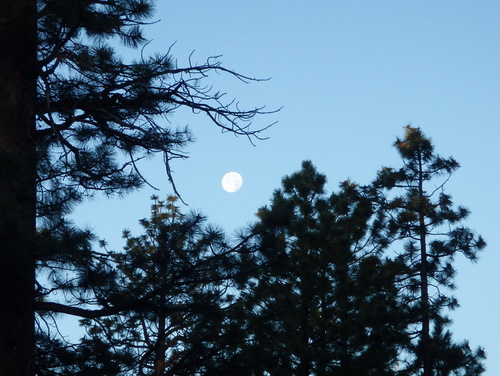 Walking to the Bryce Canyon Rim.