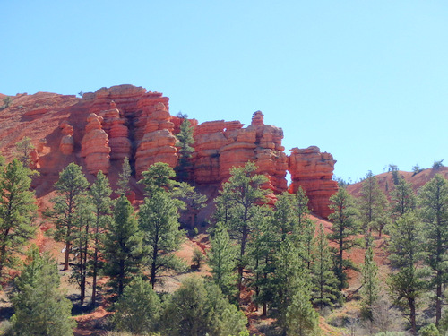 The Red Canyon area of Dixie National Forest.