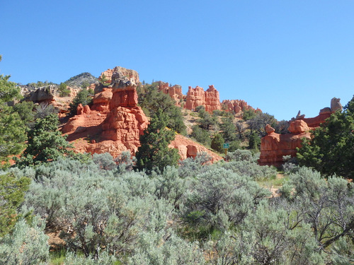 The Red Canyon area of Dixie National Forest.