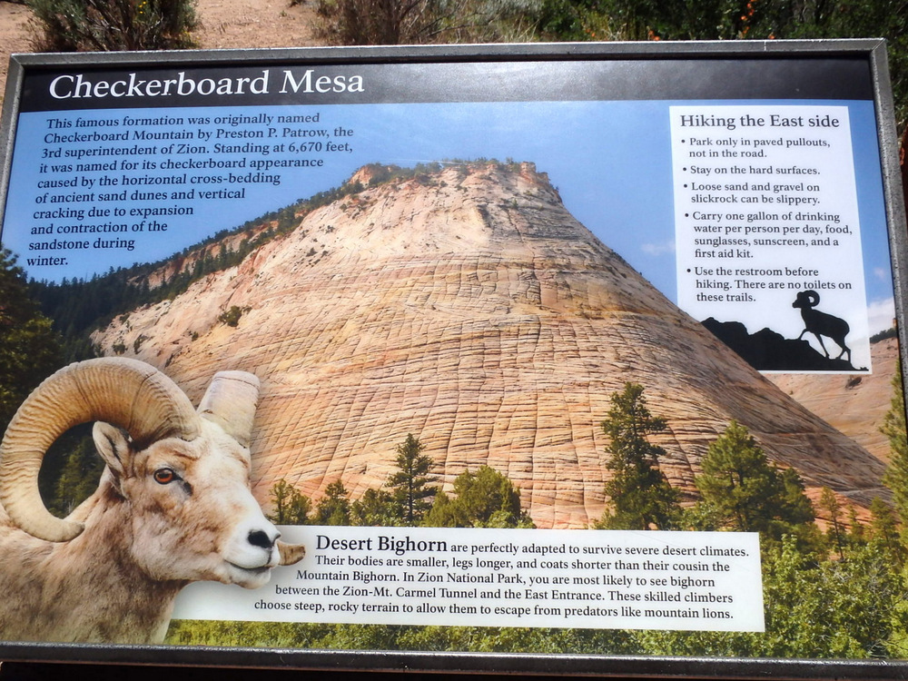 Checkerboard Mesa, Zion NP, Utah. - Ancient Sand Dunes and Vertical Expansion Cracks over time.