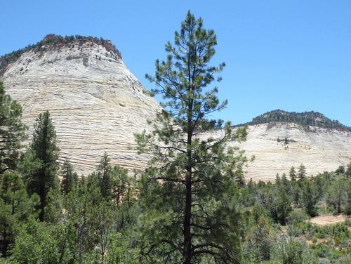 Pedaling through Zion NP.