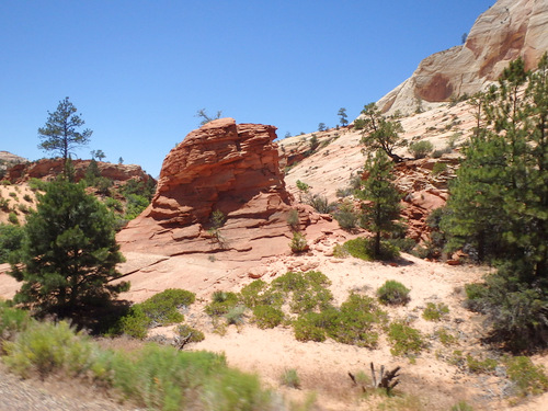 Pedaling through Zion NP.