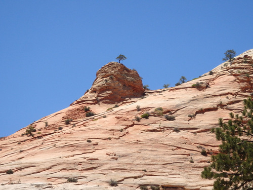 Pedaling through Zion NP.