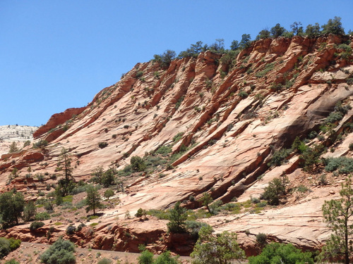 Pedaling through Zion NP.