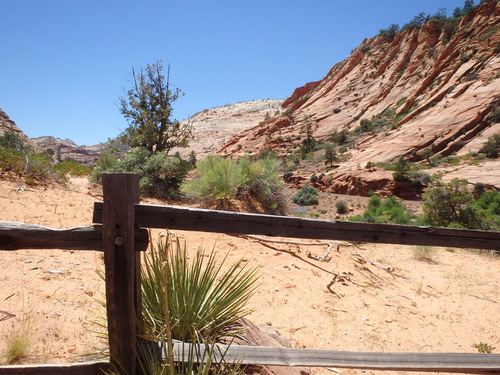 Pedaling through Zion NP.