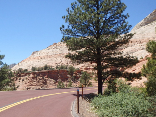 Pedaling through Zion NP.