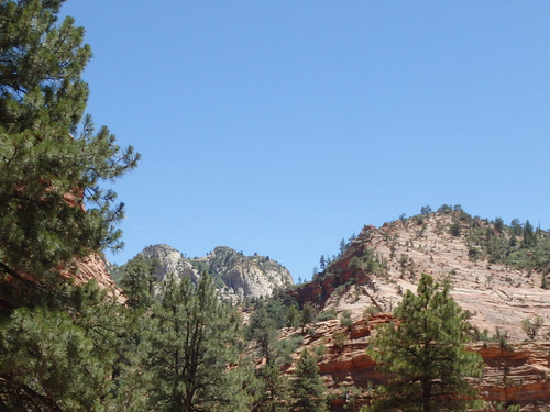 Pedaling through Zion NP.