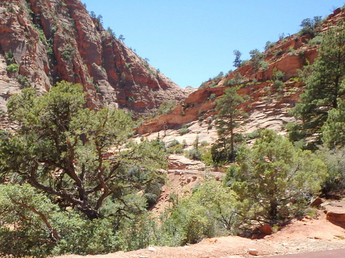 Pedaling through Zion NP.