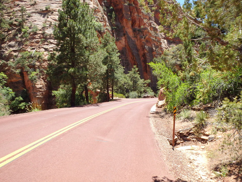 Pedaling through Zion NP.