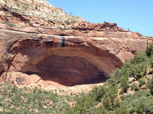 Pedaling through Zion NP.