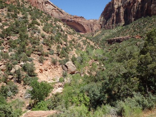 We were now in the Zion Mountain Switchbacks.