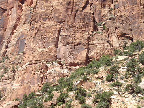 We were now in the Zion Mountain Switchbacks.