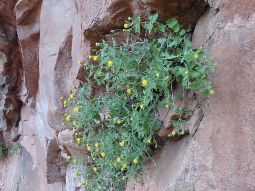 Hiked up the Grotto Trail.