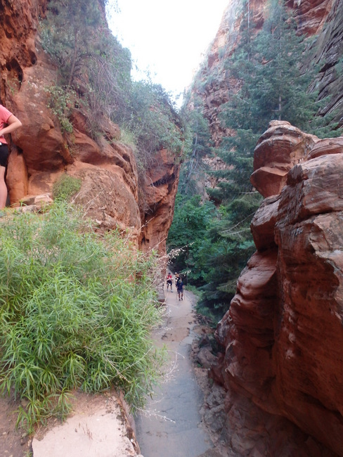 Hiked up the Grotto Trail.