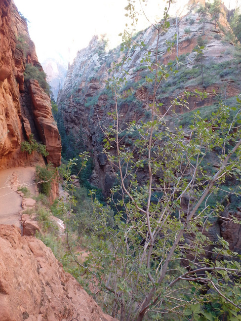 Hiked up the Grotto Trail.