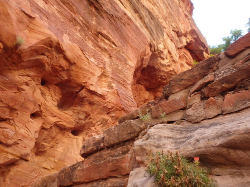 Hiked up the Grotto Trail.