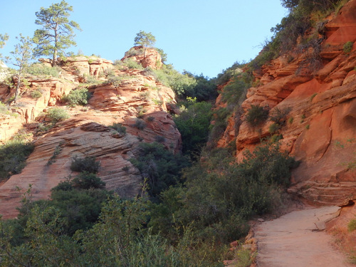 Hiked up the Grotto Trail.