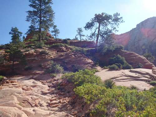 West Rim Trail.