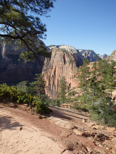 West Rim Trail.