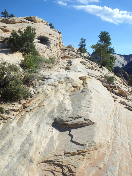 West Rim Trail.