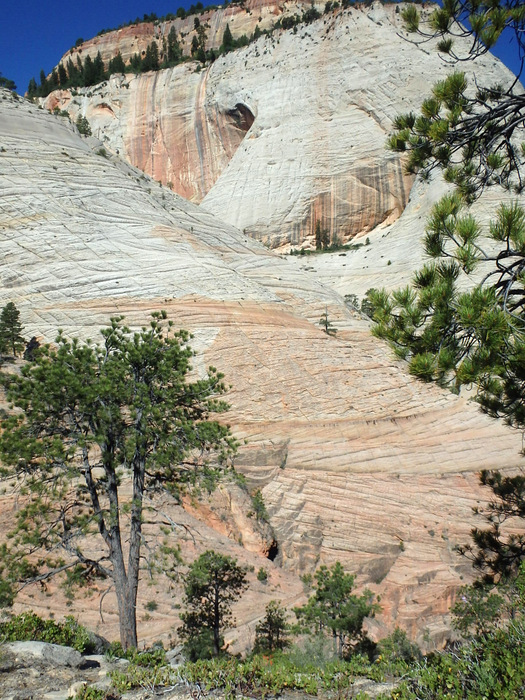 West Rim Trail.