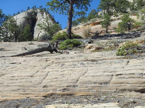 West Rim Trail.