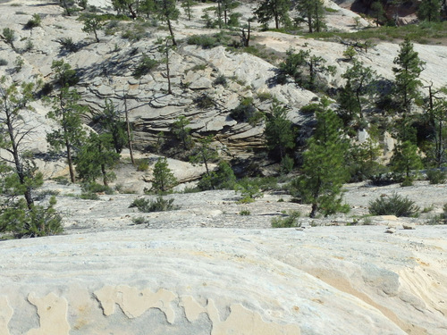 West Rim Trail.