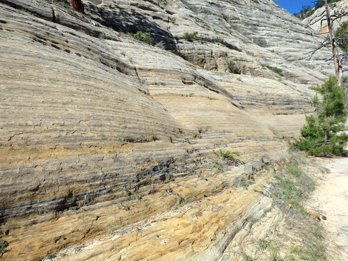 West Rim Trail.