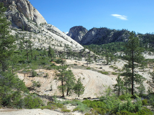 West Rim Trail.