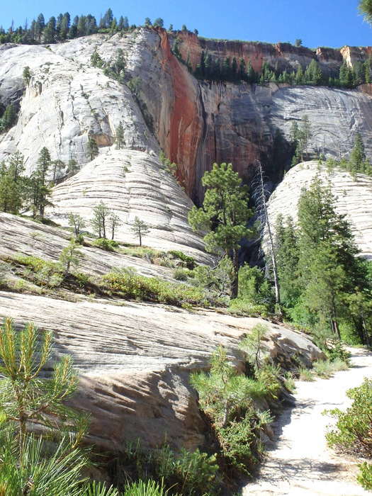 West Rim Trail.