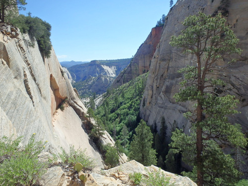 West Rim Trail.