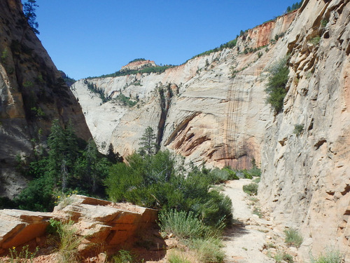 West Rim Trail.