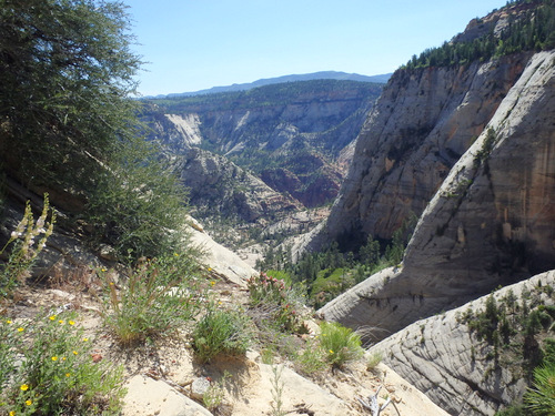 West Rim Trail.