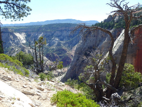 West Rim Trail.